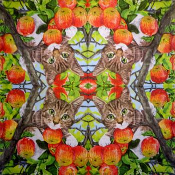 KAT-367 Cats - 3-ply - ppd - Two Can Art - CS